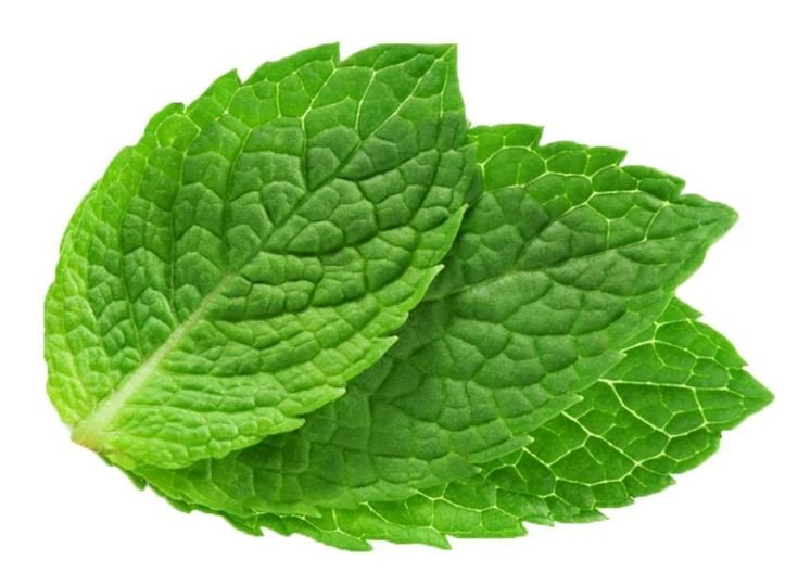 Daun Mint